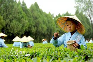 雷电竞下载网址截图1